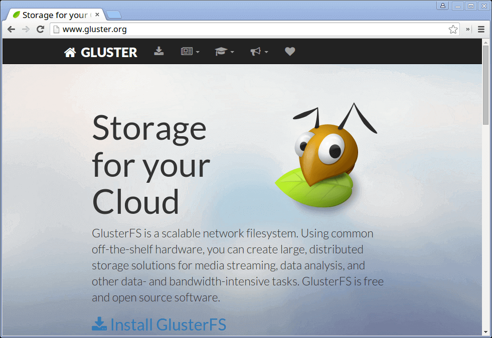 GlusterFS Storage