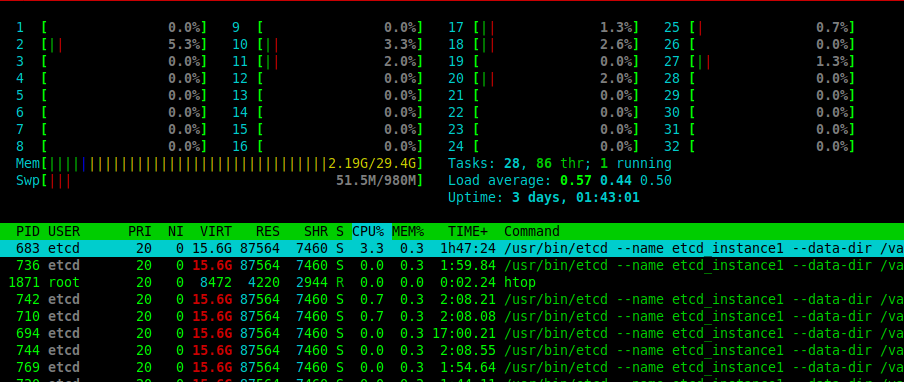 htop - Linux Process Viewer