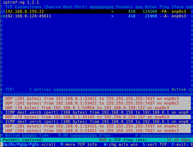 IPTraf IP Network Monitor