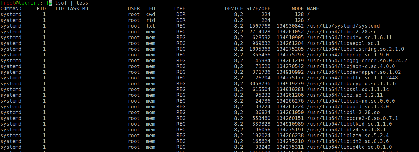 List Open Files in Linux